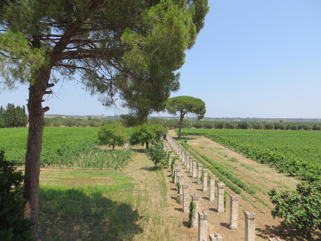 Agriturismo Occhineri Порто-Чезарео Екстер'єр фото